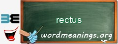 WordMeaning blackboard for rectus